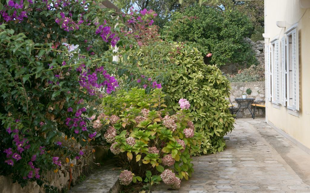 Villa Bona Dubrovnik Exterior photo
